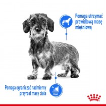 Royal Canin Mini Light Weight Care 8kg odchudzająca dla małych psów
