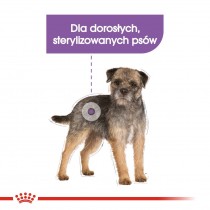 Royal Canin Mini Sterilised 8kg dla sterylizowanych psów małych ras