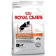 Royal Canin Sport Life Energy 4100 15kg sucha karma dla psów
