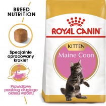 Royal Canin Feline Breed Nutrition sucha karma dla kociąt rasy Maine Coon 4kg