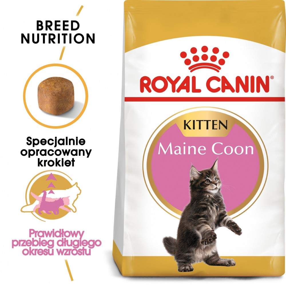 Royal Canin Feline Breed Nutrition sucha karma dla kociąt rasy Maine Coon 2 kg