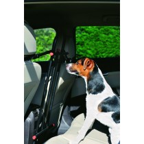 ZOLUX Krata ochronna dla psów pomiędzy przednimi siedzeniami samochodu