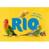 RIO Pokarm podstawowy dla papużek falistych 1kg