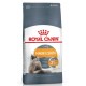 Royal Canin Hair&Skin Care 10kg sucha karma dla kotów zdrowa sierść i skóra
