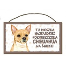 Power Gift Tabliczka dekoracyjna Chihuahua 12