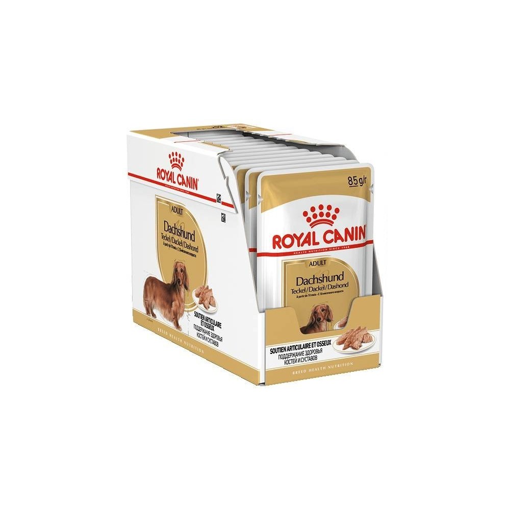 Royal Canin Dachshund Adult  12x85g pakiet karm mokrych