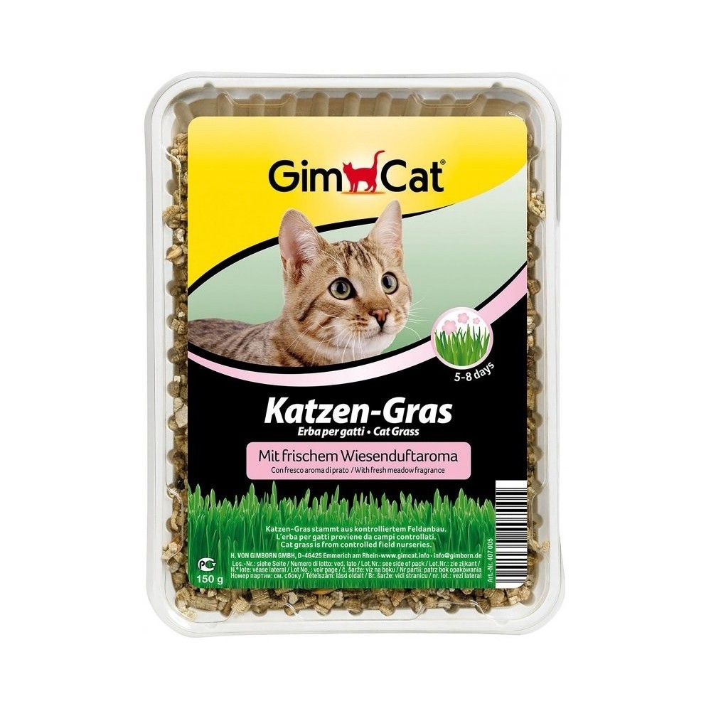 GimCat Katzen-Gras nasiona trawy dla kota 150g w pojemniku