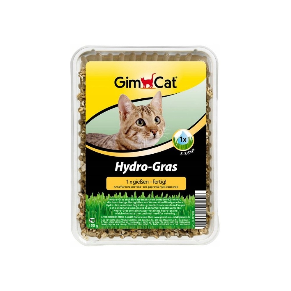 GimCat Hydro-Gras nasiona trawy dla kota 150g w pojemniku
