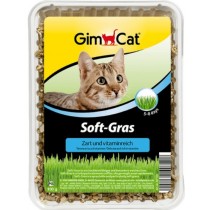 GimCat Soft-Gras nasiona trawy dla kota 100g w pojemniku