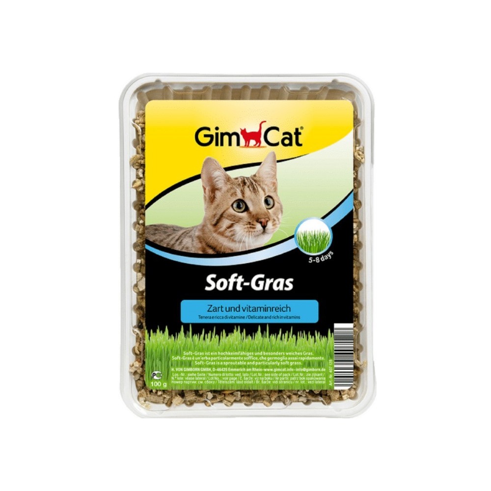 GimCat Soft-Gras nasiona trawy dla kota 100g w pojemniku