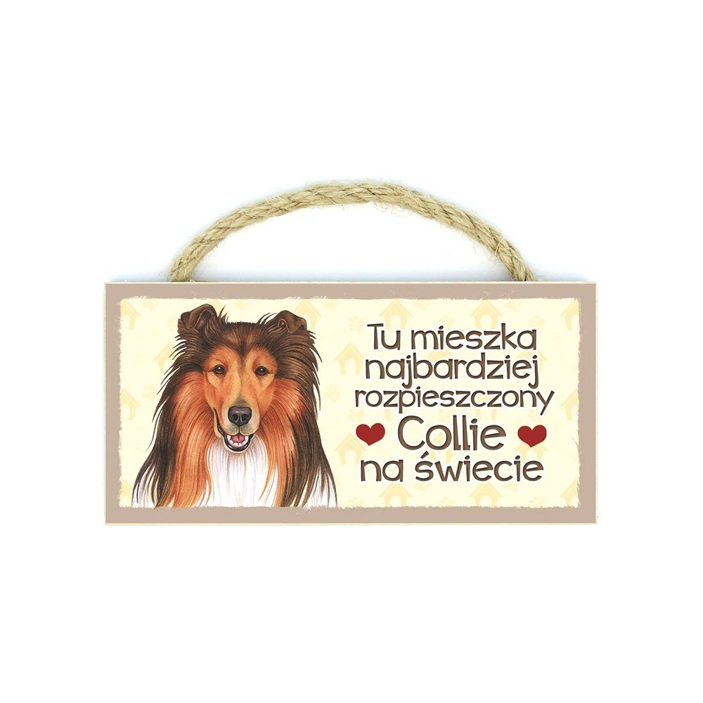 Power Gift Magnes Drewniany Collie 18