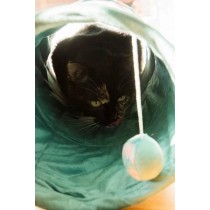 ZOLUX Zabawka dla kota ETHICAT tunel dla kota z zabawką wzór tkaniny liście