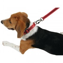 Zolux Moov 15mm x 1,2m smycz dla psa sportowa czerwona