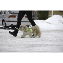 Kivalo Dog Kamizelka odblaskowa dla psa XS żółta 29-47 cm