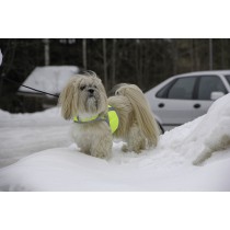 Kivalo Dog Kamizelka odblaskowa dla psa XL żółta 53-75 cm