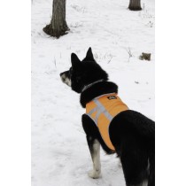 Kivalo Dog Kamizelka odblaskowa dla psa M pomarańczowa 41-60 cm