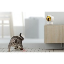 Inteligentny laser do zabawy dla psa lub kota Petoneer Smart Dot