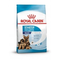 Royal Canin Maxi Starter Mother&Babydog 4kg