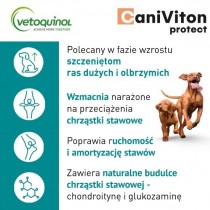 Caniviton protect 90 tabletek preparat wspierający stawy psa