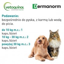 Vetoquinol Dermanorm care 90 tab. na zdrową skórę i sierść psy i koty