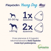 Flexadin Young Dog Maxi Karma uzupełniająca dla psów na stawy 60 szt.