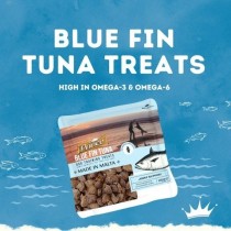 Prince Blue Fin Tuna Joint Support 100 gr