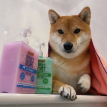 Prince Secret Szamp Flea & Tick szampon dla psa pomaga zwalczać pchły i kleszcze