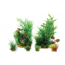 ZOLUX Dekoracja roślinna PLANTKIT JALAYA model 2