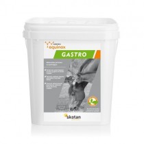 Equinox Gastro 3kg zdrowy układ pokarmowy