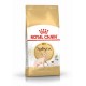 Royal Canin Sphynx Adult 0,4kg sucha karma dla kotów rasy Sfinks