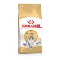 Royal Canin Norwegian Forest Cat Adult 0,4kg sucha karma dla kotów