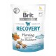 BRIT CARE dog snack recovery 150g śledź