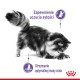 Royal Canin Appetite Control 3,5kg sucha karma dla kota apetyt w normie