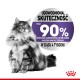 Royal Canin Appetite Control 2kg sucha karma dla kota apetyt w normie