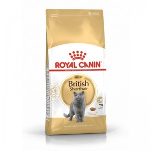 Royal Canin British Shorthair Adult 10kg karma dla kotów