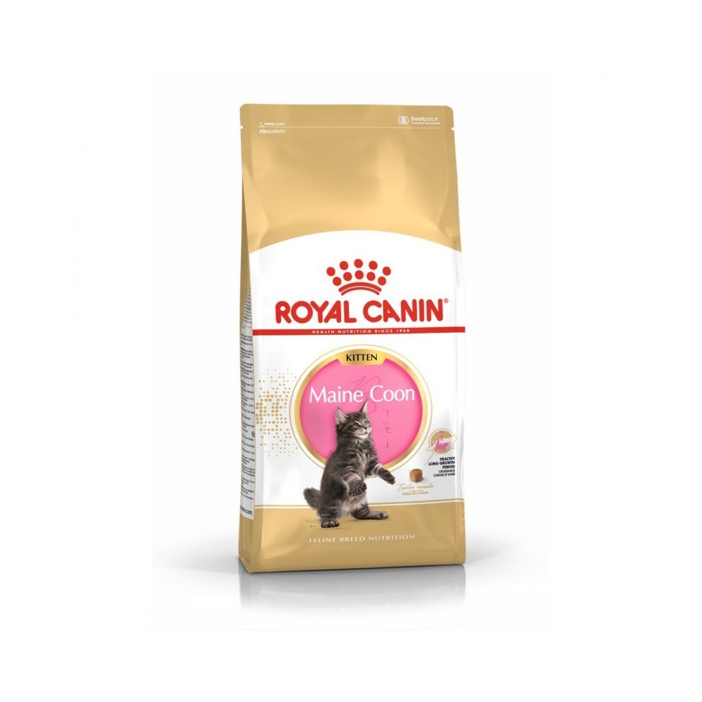 Royal Canin Maine Coon Kitten 10kg dla kociąt rasy maine coon