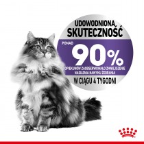 Royal Canin Appetite Control w galaretce 85g mokra karma dla kotów apetyt w normie