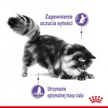 Royal Canin Appetite Control w galaretce 85g mokra karma dla kotów apetyt w normie