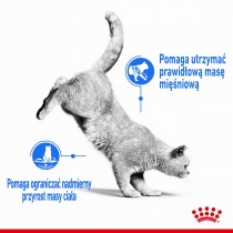 Royal Canin Light Weight Care 8kg sucha karma dla kotów odchudzająca