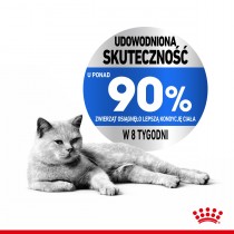 Royal Canin Light Weight Care w galaretce 85g mokra karma dla kotów odchudzająca