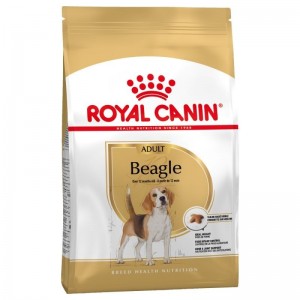 Royal Canin Beagle Adult 12kg sucha karma dla psów rasy beagle