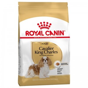 Royal Canin Cavalier King Charles Adult 1,5kg sucha karma dla psów