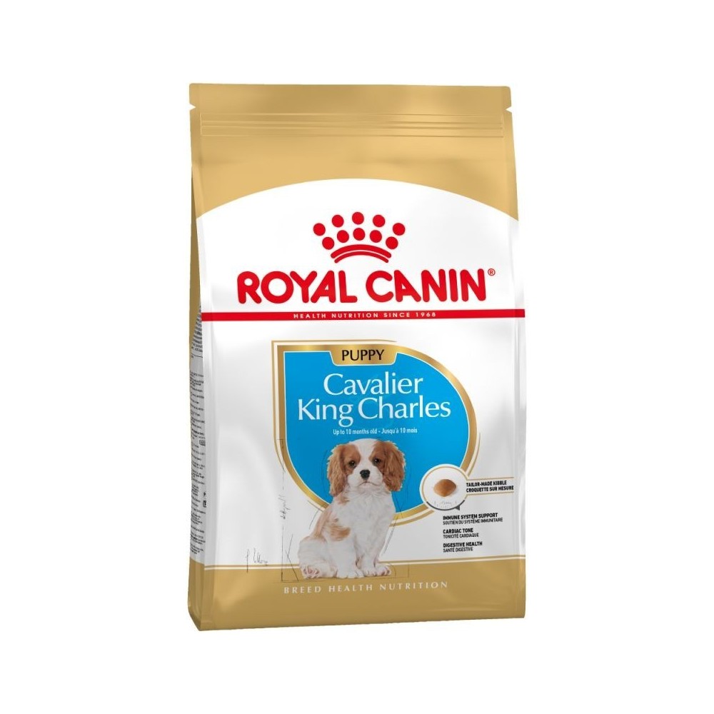 Royal Canin Cavalier King Charles Spaniel Puppy 1,5kg sucha karma dla szczeniąt