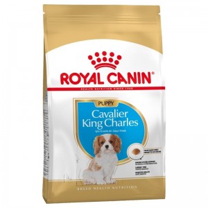 Royal Canin Cavalier King Charles Puppy 1,5kg sucha karma dla szczeniąt