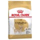 Royal Canin Chihuahua Adult 1,5kg sucha karma dla psów rasy chihuahua