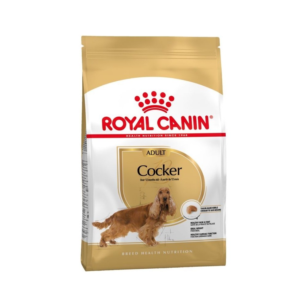 Royal Canin Cocker Adult 12kg sucha karma dla psów rasy cocker spaniel