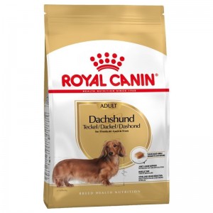 Royal Canin Dachshund Adult 7,5kg sucha karma dla psów rasy jamnik