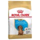 Royal Canin Dachshund Puppy 1,5kg sucha karma dla szczeniąt rasy jamnik