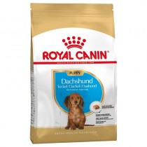Royal Canin Dachshund Puppy 1,5kg sucha karma dla szczeniąt rasy jamnik