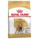 Royal Canin French Bulldog Adult 3kg sucha karma dla psów rasy buldog francuski